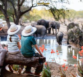 Private Safari Adventure